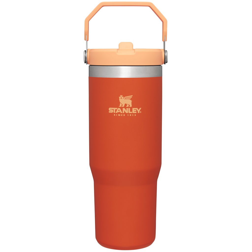 The IceFlow Flip Straw Tumbler | 30 OZ