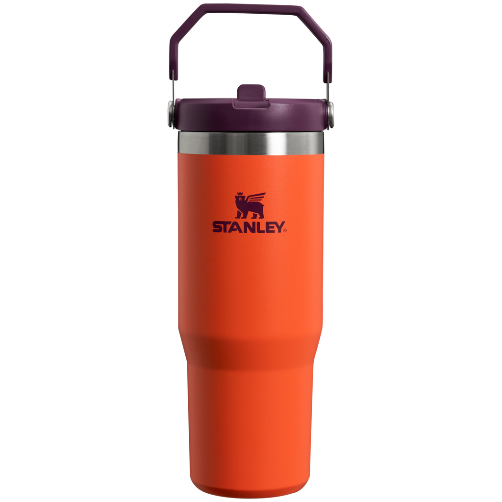 The IceFlow Flip Straw Tumbler | 30 OZ
